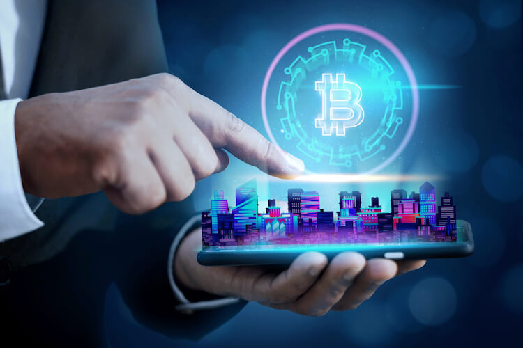 Institutional investors