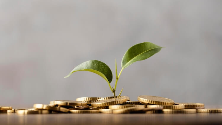Investing