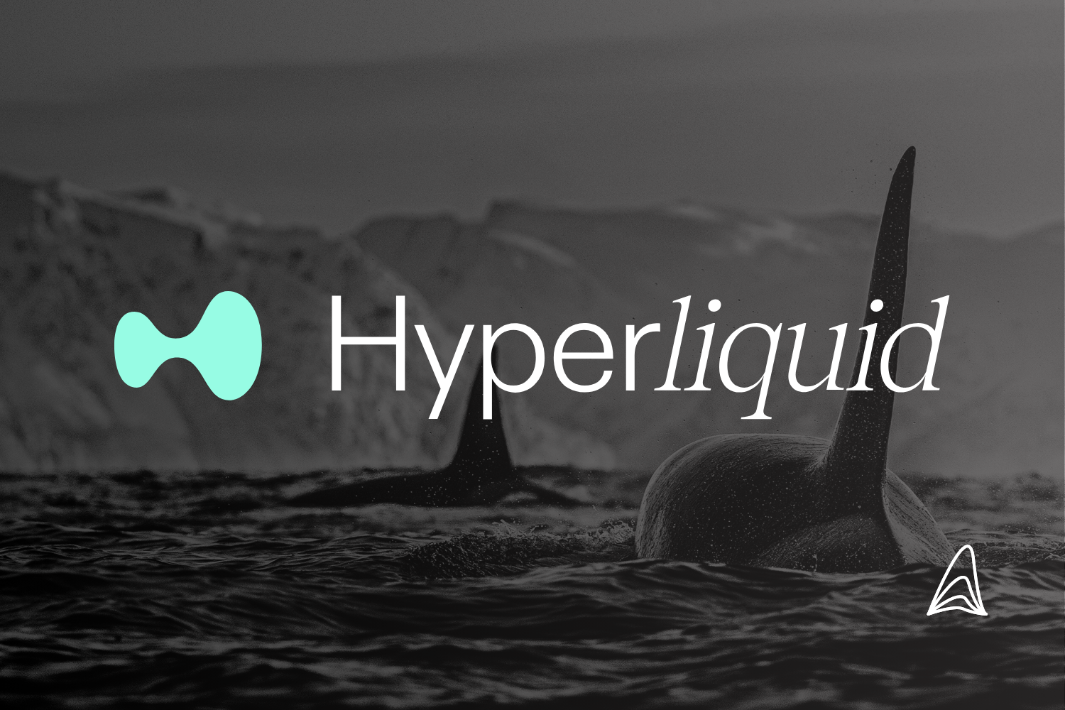 Hyperliquid: Is This Decentralized Exchange a CEX Killer?